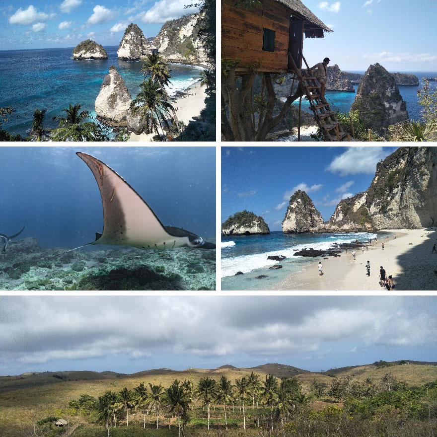 East Nusa Penida & Manta Bay Snorkeling